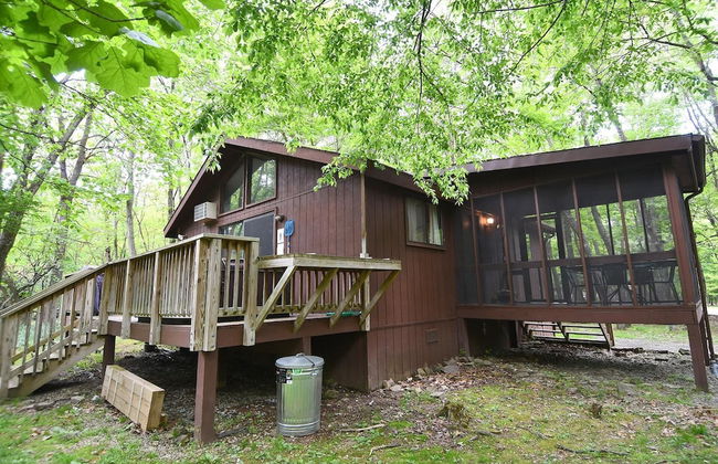 Woods Song - Natures Promise - Foto 29