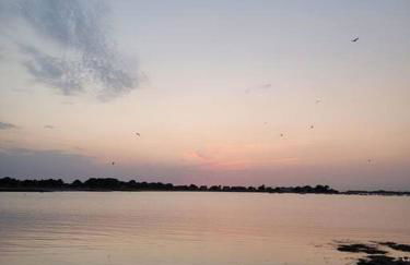 La Cabane des salines proche mer - Foto 22