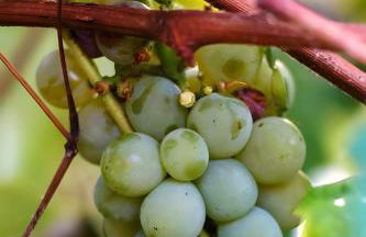 Luna D'Agerola - Foto 71