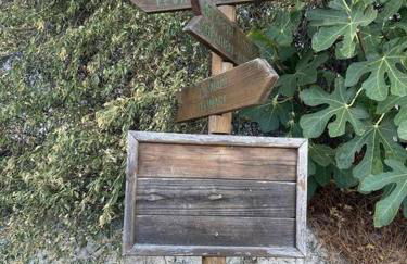 House at Kato Chorio - Foto 64