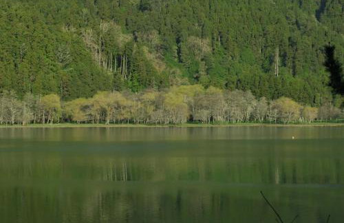 Casa da Tia Luísa - Foto 49