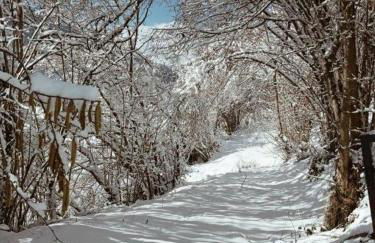 Le Zen Altitude - Foto 13