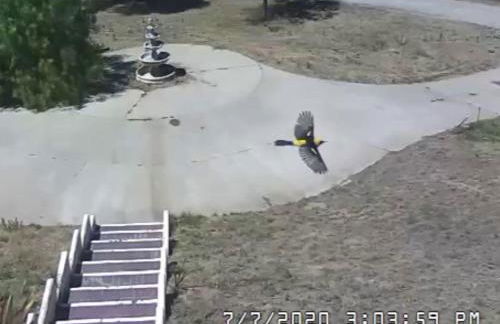 Mansion on the Hill let 4 Rooms, 5th cost extra - Foto 58