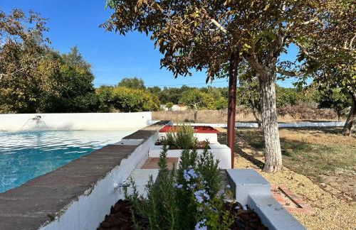 Quinta do Céu Tranquilidade e Piscina no Alentejo - Foto 47