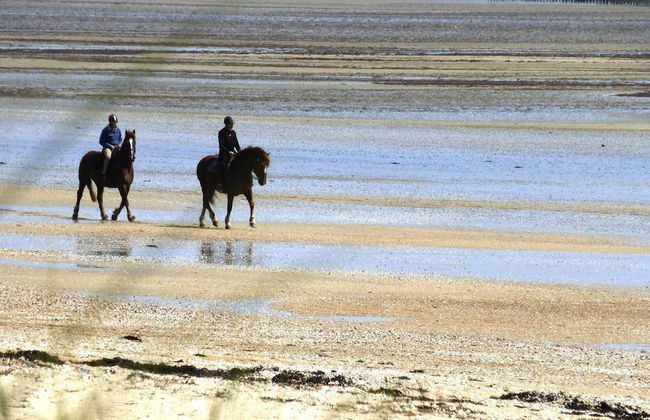 Country House in Normandy Near D-day Beaches - Foto 34