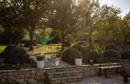 Villa Mirkov San - Foto 53