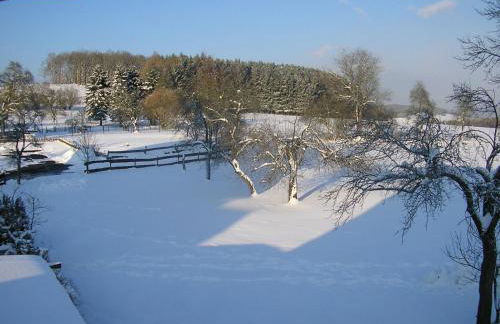 Silbecke Forest View Apartment - Foto 45