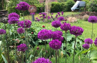 Gästehaus Natur - Foto 27