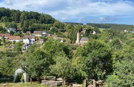 1Zi Ferienwohnung bis zu 3 Personen für Dienstreisende in Loßburg Schwarzwald - Foto 13