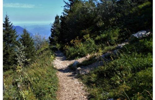 GRENOBLE SUD VARCES Suite privatisée au pied des Montagnes - Foto 49