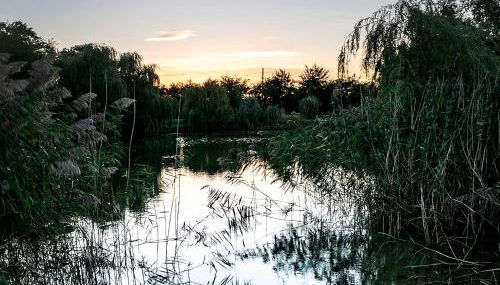 Lake View Lodges - 25072 - Foto 5, Garden