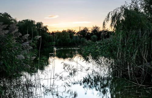 Lake View Lodges - 25074 - Foto 6