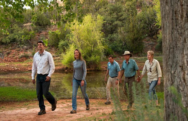 Coyote Canyons - Tour in jeep - Foto 6