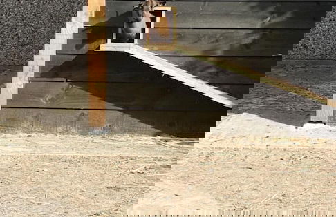 Vakantiepark De Bosrand - Foto 65