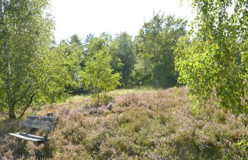 Schäferwagen auf'm Minibauernhof in Munster - Foto 31