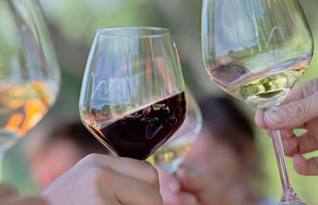 Valdonica Winery & Vineyard Residence - Foto 52