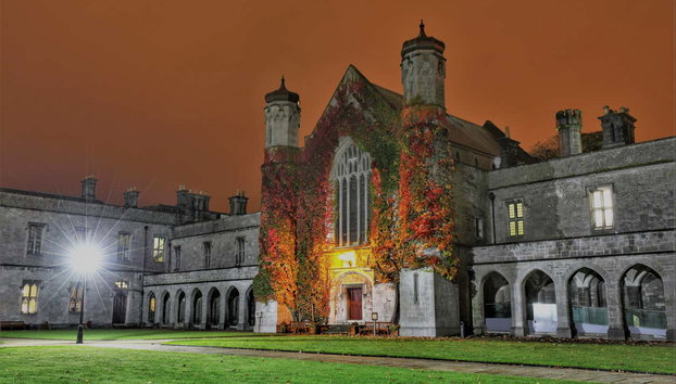 Galway Guided Walking Tour - Foto 5