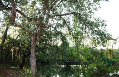 Acquavilla - Foto 50