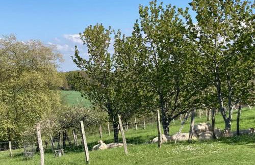 Villa ARGUIBEL - Foto 72