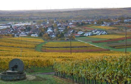 Ferienwohnung an den Weingärten - Foto 33
