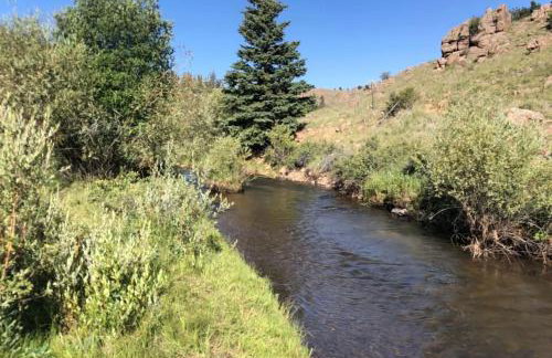 Secluded Modern Cabin On 10 Acres Tarryall Creek - Foto 17