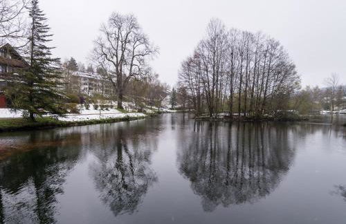 Ferienwohnungen Seeblick - Foto 17