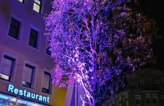 SmartApart - Design Apartment - Favorite Place - Full Equipment - Public Transport - Foto 8