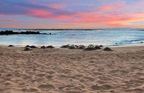 Honu He'e Nalu - The Surfing Turtle - Ocean & Beachfront! Stunning Views! - Foto 17