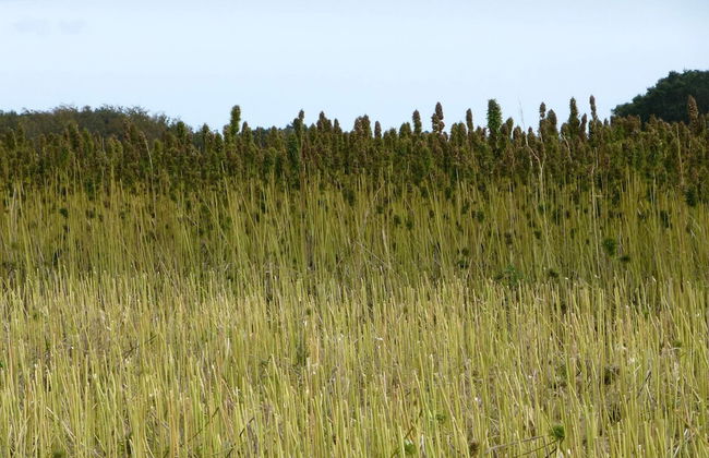 5 Person Holiday Home in Kolind - Photo 12