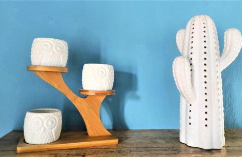 Le Nopal Bleu - Foto 9