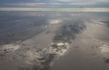 LA TERRASSE DE NOTRE DAME - Foto 56