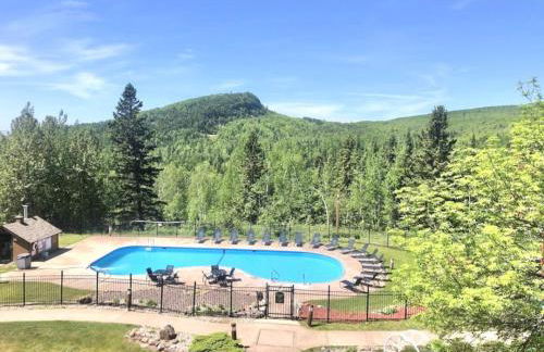 Lutsen Mtn Condo, Ski in Ski out, Pool, Hot Tub, Fitness - Foto 42