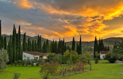 Casita Higo - Foto 1