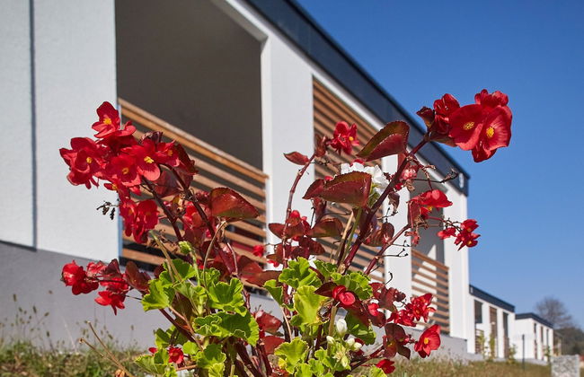 Mobile Homes Terme Jezercica - Foto 8