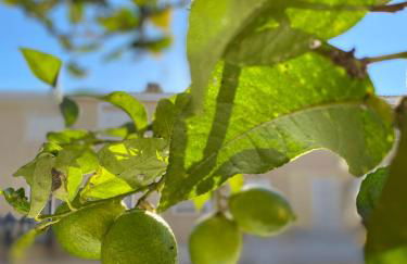 Lomas del Golf, Villamartin maison - Foto 43