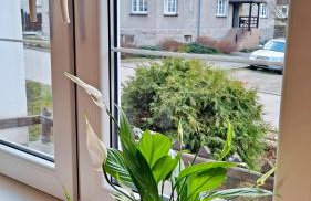 Apartament dzika róża - Foto 8