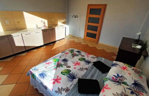 Fantastic-Inn Zielona Góra - Sulechowska - Foto 26