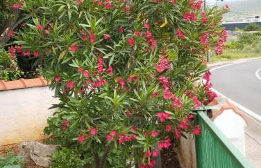 Apartman VTS - Photo 29