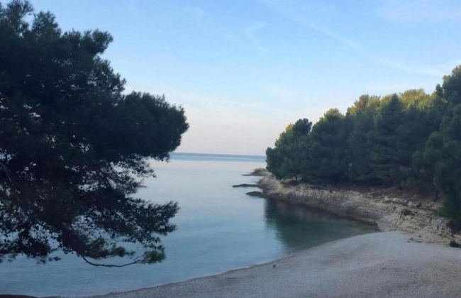 Apartment in Vrsi Near the Sea - Foto 32