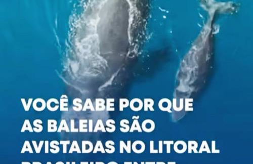 Recanto do Sossego - Foto 68