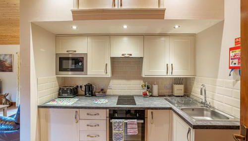 Wildcat Lodge - Foto 4, stove, pet friendly, toaster