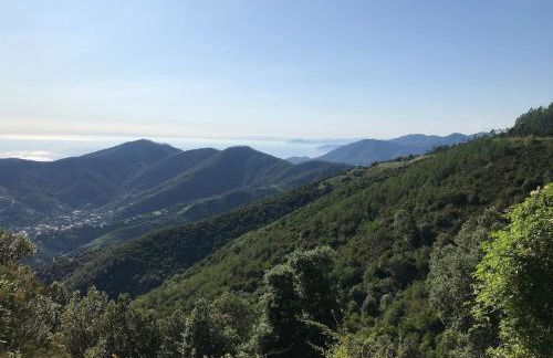 LA TERRAZZA DI MONTEROSSO - Photo 42
