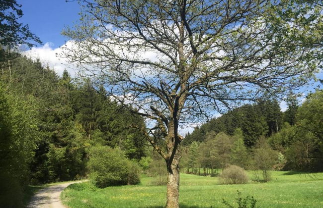 Apartment in Bruchhausen mit Terrasse - Foto 19