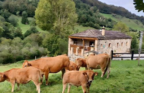 Cabaña Pasiega Lo Miñarro - Foto 2