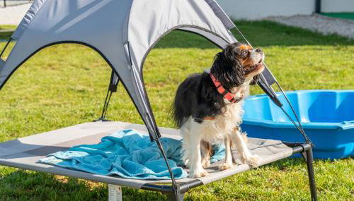 Villa Justin - Foto 5