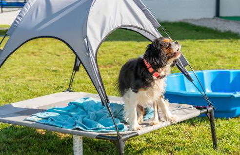 Villa Justin - Foto 5