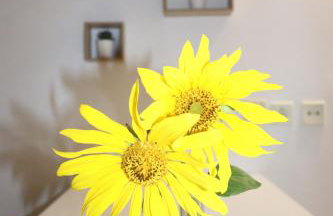 Baou House - Photo 15