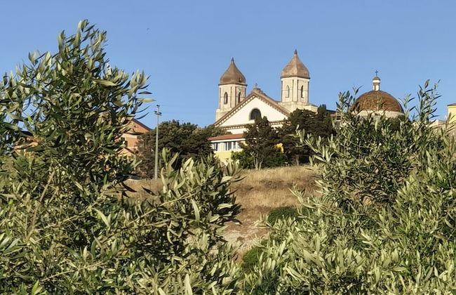 la corte degli ulivi - Foto 76