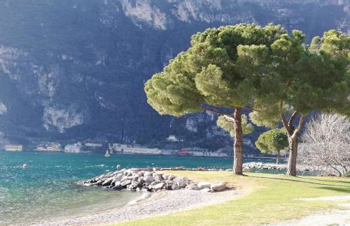 Casa Tecla, bright apartment in a single house - Photo 5