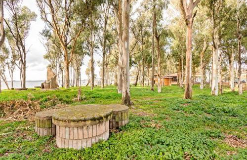 Homes in the Lagoons of Santa Giusta - Foto 53
